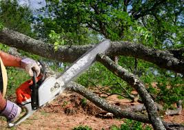 Lawn Irrigation Installation and Maintenance in Blue Rapids, KS